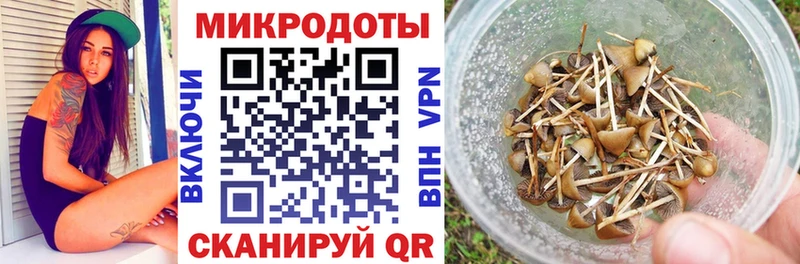 Псилоцибиновые грибы Psilocybine cubensis продажа наркотиков Саяногорск