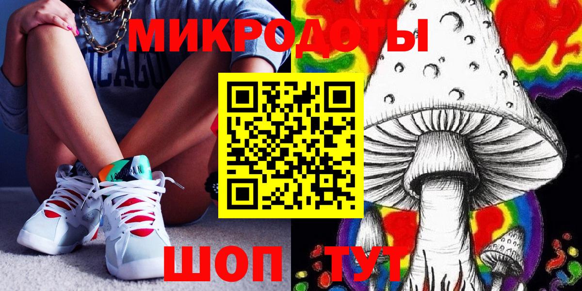 Псилоцибиновые грибы Psilocybe Саяногорск