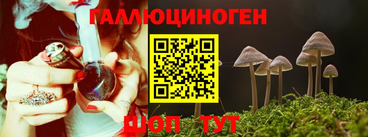 Саяногорск  продажа наркотиков  Вход с VPN  Псилоцибиновые грибы мицелий  Псилоцибиновые грибы GOLDEN TEACHER 